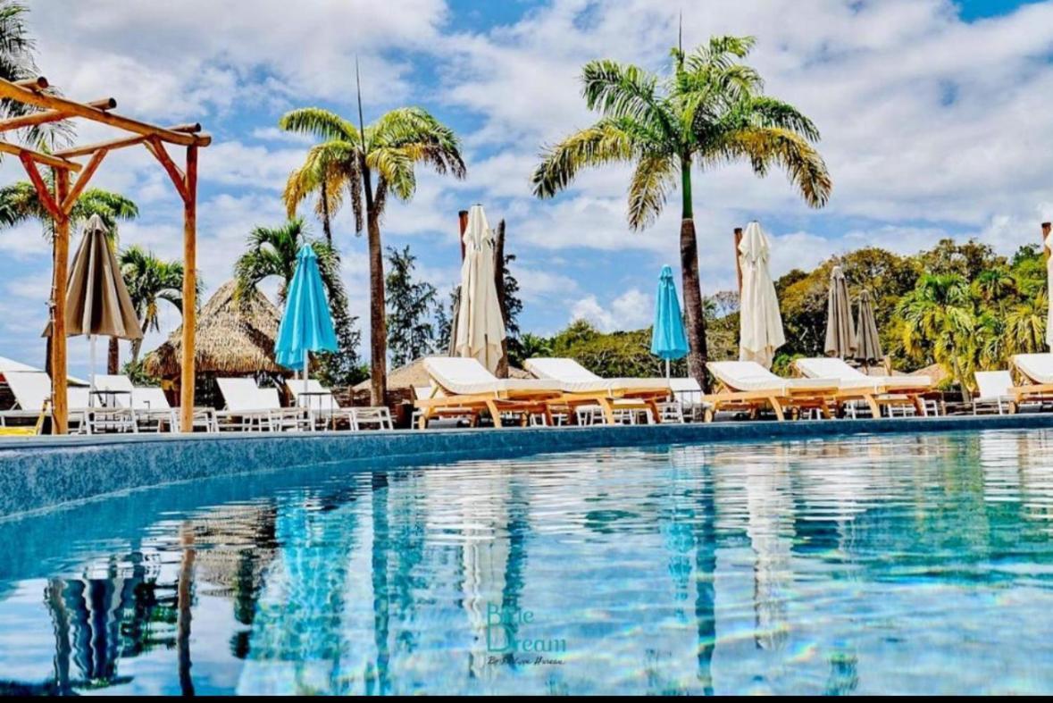 La Ruche De Maia - Blue Dream Beach - Piscine - Jardin - Plage Grand-Bourg  Exterior photo